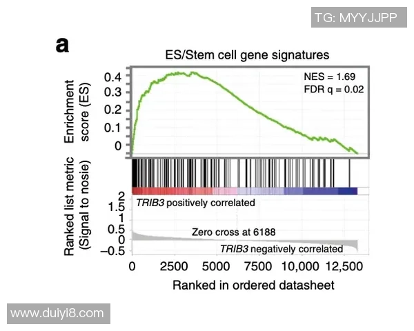 武汉极限运动队耐力表现数据分析与训练策略探讨